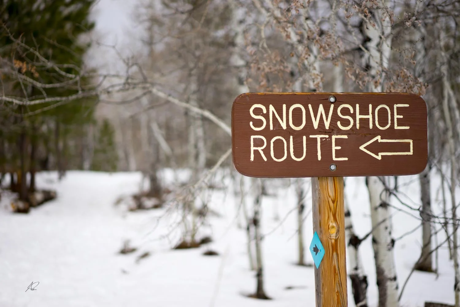 A sign that says snowshoe route.