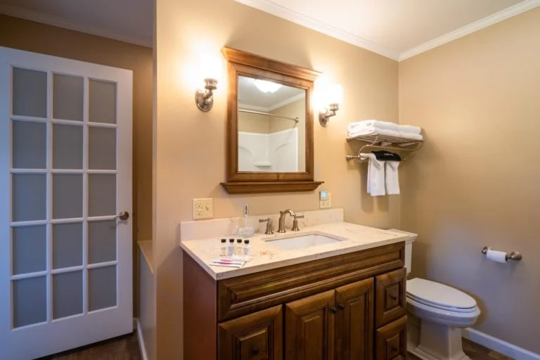 A bathroom with a sink and toilet.