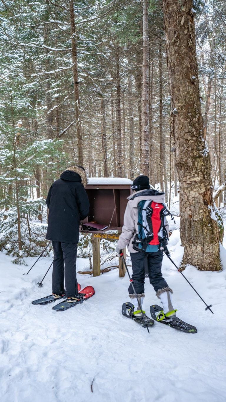 Two people on skis standing next to a box in the woods.