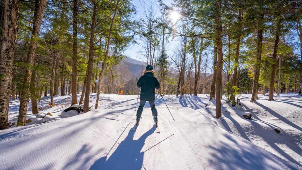 A person is skiing down a snowy trail in the woods.